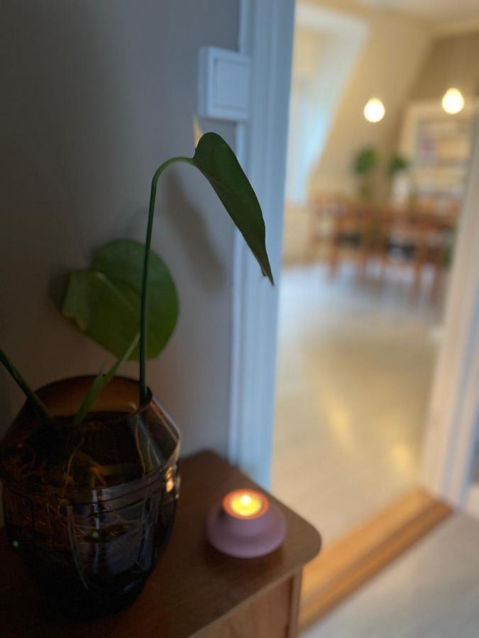 Charming Apartment In Alesund Center With Free Parking Ålesund Exterior foto